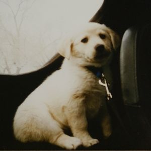 Meet your Posher, Jackie